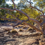06alice_springs024