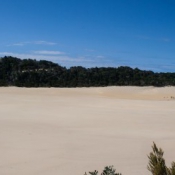 08fraser_island007