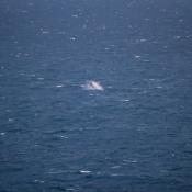 08fraser_island020