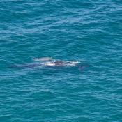 09byronbay_to_sydney002
