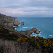 01Dunedin001