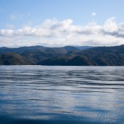 08AbelTasm039