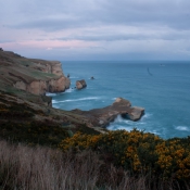 01Dunedin001