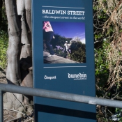 01Dunedin005