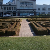 01Dunedin007