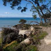 08AbelTasm018