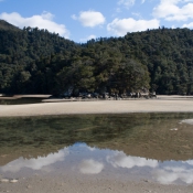 08AbelTasm021