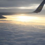 NY001