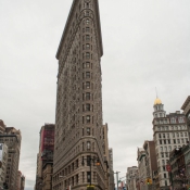 NY123