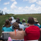 03everglades012