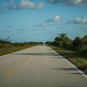 03everglades030