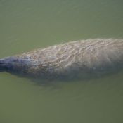 03everglades032