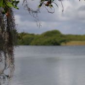 03everglades036