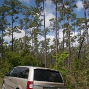 03everglades040