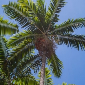 01Miami001