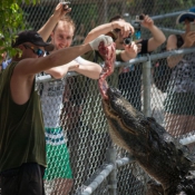 03everglades004