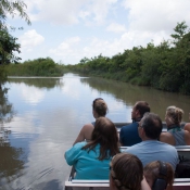 03everglades011