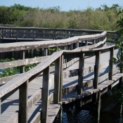 03everglades026