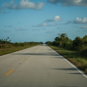 03everglades030