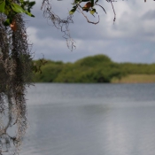 03everglades036