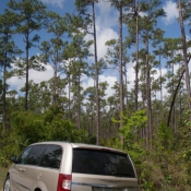 03everglades040