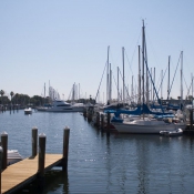 08tampa-peters011