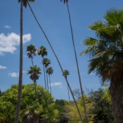 10ftmyers022