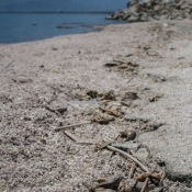 05saltonsea003