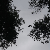 06sandiego026