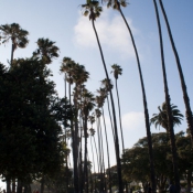 01santamonica001