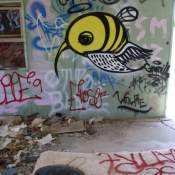 05saltonsea016