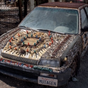 05saltonsea025