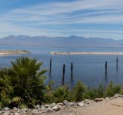 05saltonsea033