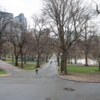 boston006