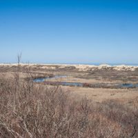 capecod018