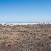 capecod019