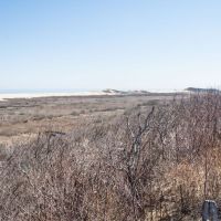 capecod020