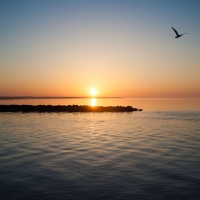capecod004