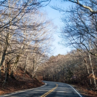capecod007