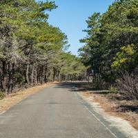 capecod010