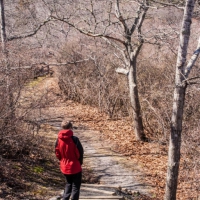 capecod012