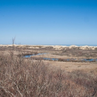 capecod018