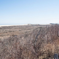 capecod020