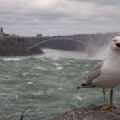 07niagrafalls011