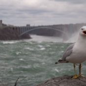 07niagrafalls011