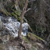 12shenandoah027