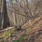 12shenandoah035