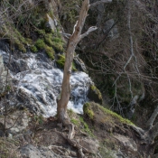 12shenandoah027