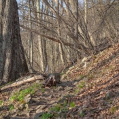 12shenandoah035