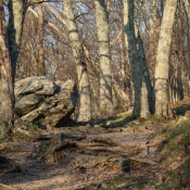 12shenandoah038